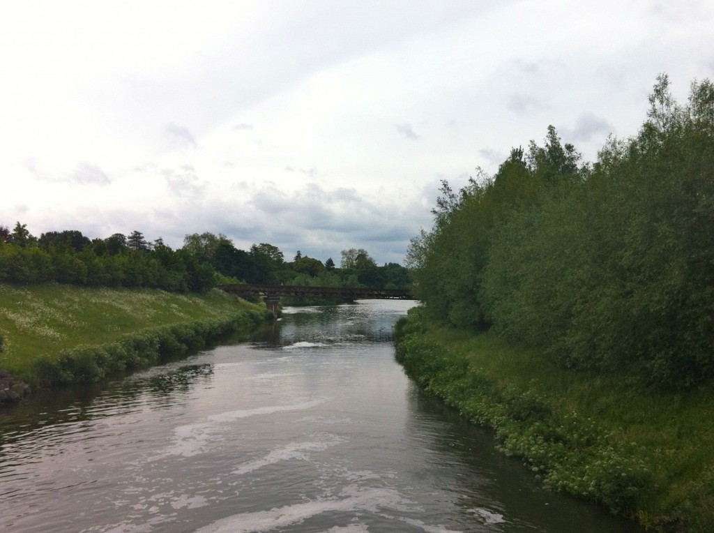 Another 10km Open Water Swim