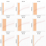 Ironman South Africa: Kona Qualification for Male Age Groupers