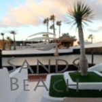 Sands Beach Logo