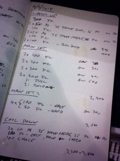 Thursday morning, 9th October 2014 - Endurance Swim Session