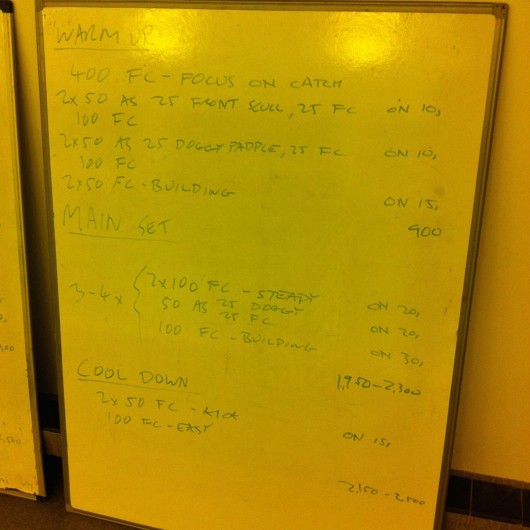 Tuesday, 11th November 2014 - Endurance Swim Session