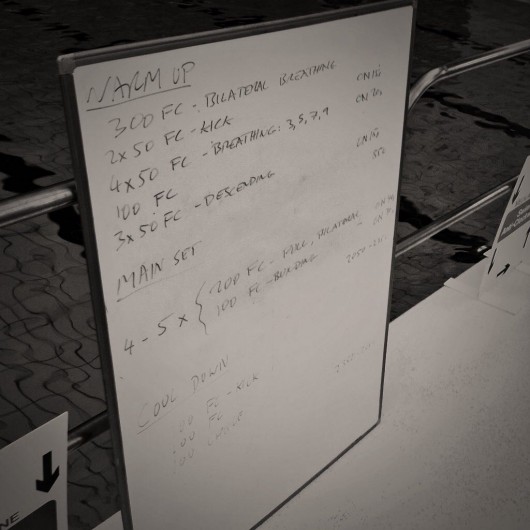 Tuesday, 18th November 2014 - Endurance Swim Session