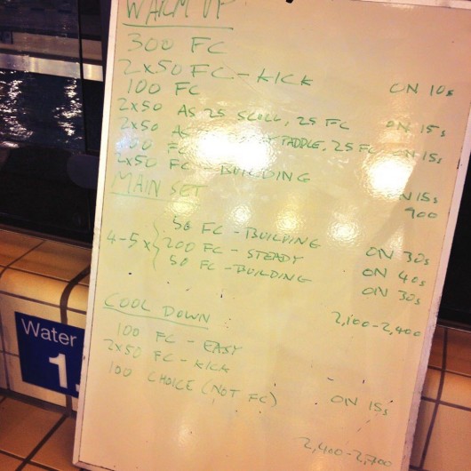 Wednesday, 26th November 2014 - Endurance Swim Session