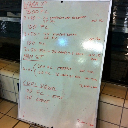 Wednesday, 3rd December 2014 - Endurance Swim Session