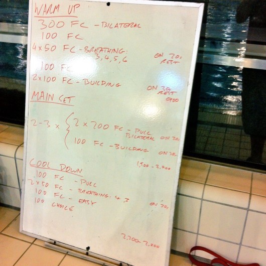 Wednesday, 10th December 2014 - Endurance Swim Session