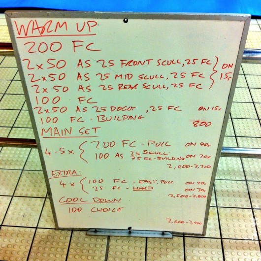 Wednesday, 28th January 2015 - Endurance Swim Session