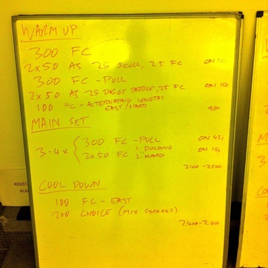 Tuesday, 13th January 2015 - Endurance Swim Session