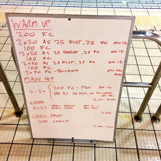 Wednesday, 11th February 2015 - Endurance Swim Session