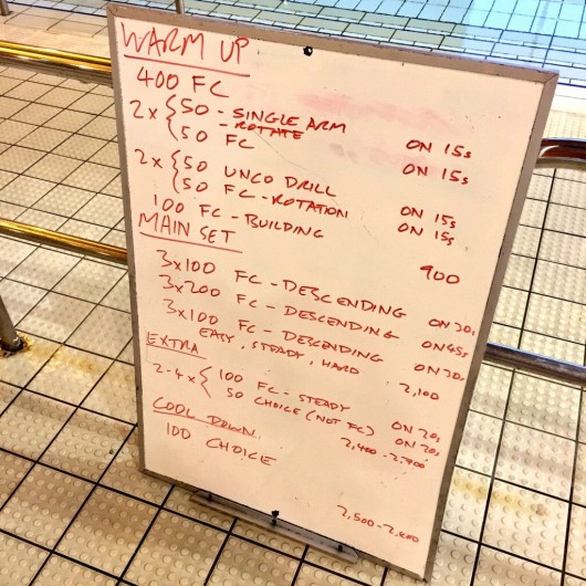 Wednesday, 18th February 2015 - Endurance Swim Session