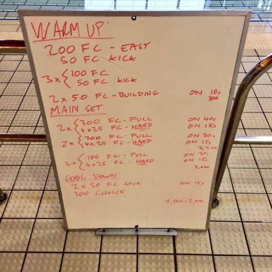 Wednesday, 15th April 2015 - Endurance Swim Session
