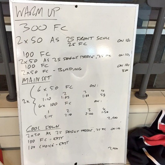 Wednesday, 17th June 2015 - Endurance Swim Session