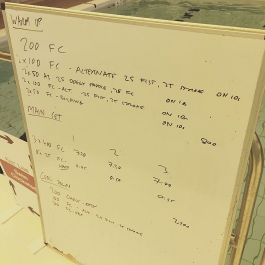 Tuesday, 7th July 2015 - Endurance Swim Session