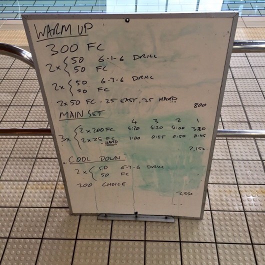 Wednesday, 8th July 2015 - Endurance Swim Session
