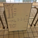 Wednesday, 29th July 2015 - Endurance Swim Session