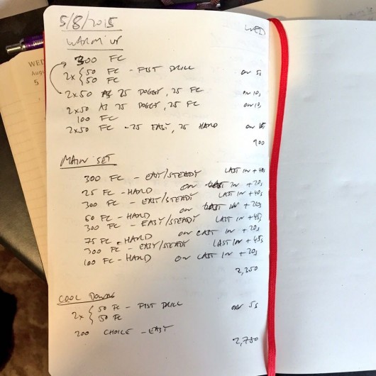 Wednesday, 5th August 2015 - Endurance Swim Session