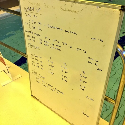Tuesday, 11th August 2015 - Endurance Swim Session
