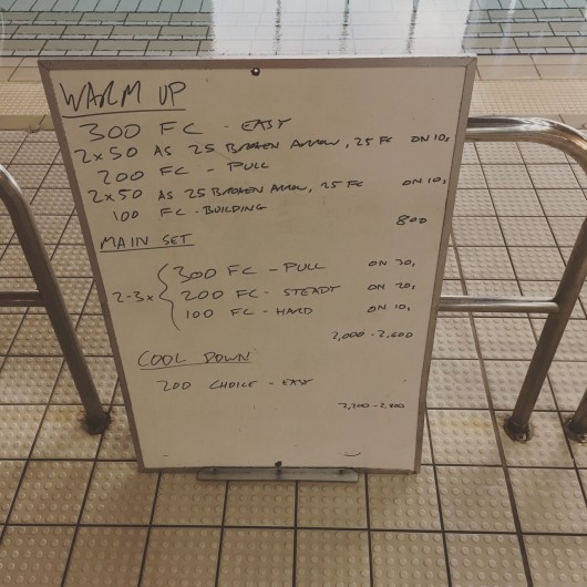 Wednesday, 12th August 2015 - Endurance Swim Session