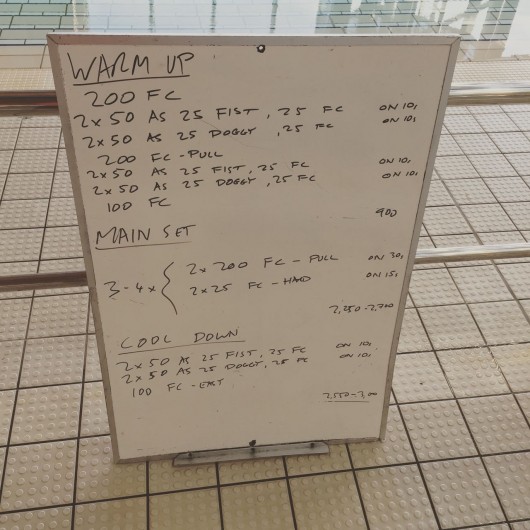 Wednesday, 19th August 2015 - Endurance Swim Session