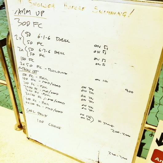 Tuesday, 25th August 2015 - Endurance Swim Session