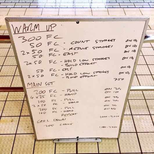 Wednesday, 9th September 2015 - Endurance Swim Session
