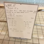 Wednesday, 25th November 2015 - Swim Session