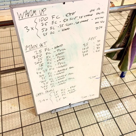 Wednesday, 23rd December 2015 - Swim Session