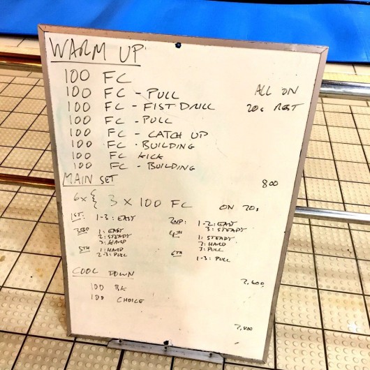 Wednesday, 6th January 2016 - Swim Session