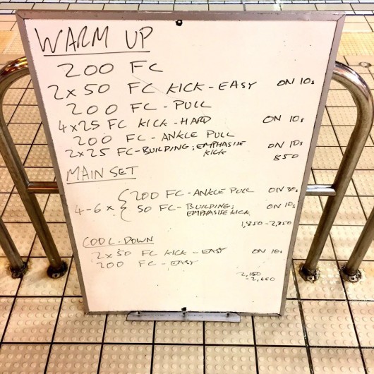 Wednesday, 3rd February 2016 - Swim Session
