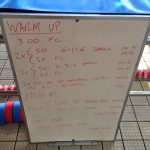 Wednesday, 20th April 2016 - Swim Session