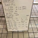 Wednesday, 8th June 2016 - Swim Session