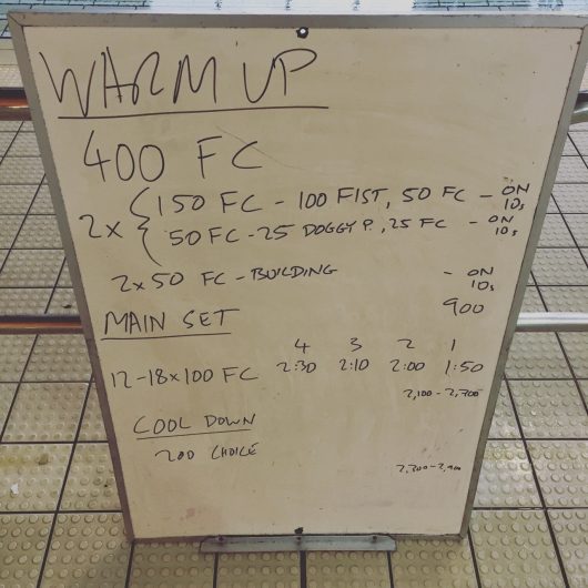 Wednesday, 10th August 2016 - Triathlon Swim Session