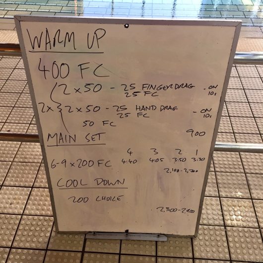 Wednesday, 17th August 2016 - Triathlon Swim Session