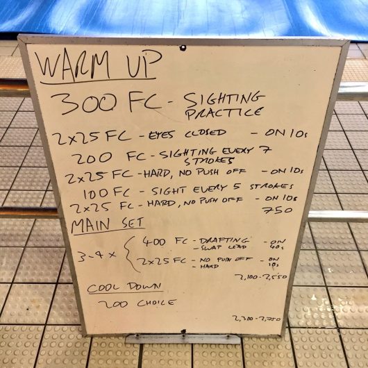 Wednesday, 31st August 2016 - Triathlon Swim Session