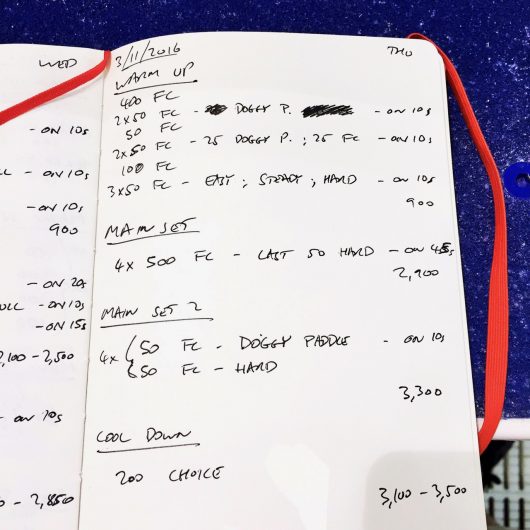 Thursday, 3rd November 2016 - Triathlon Swim Session