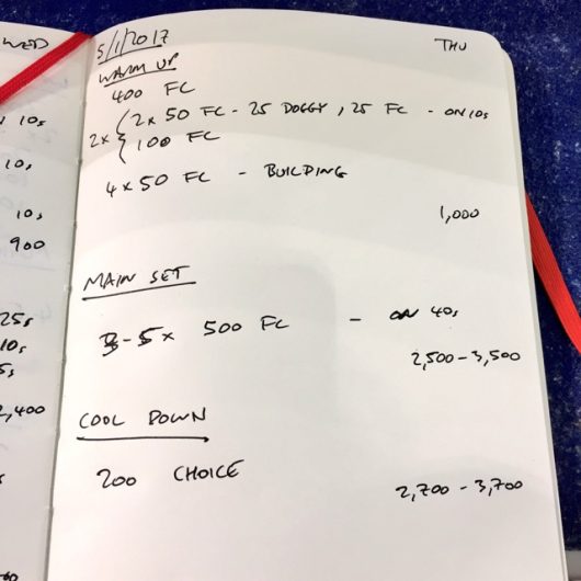 Thursday, 5th January 2017 - Triathlon Swim Session