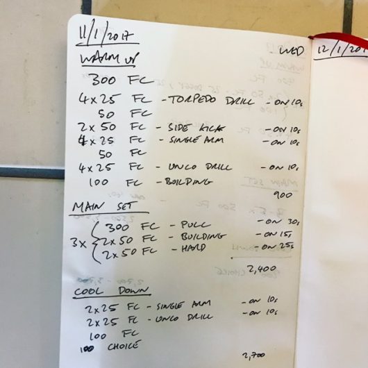 Wednesday, 11th January 2017 - Triathlon Swim Session