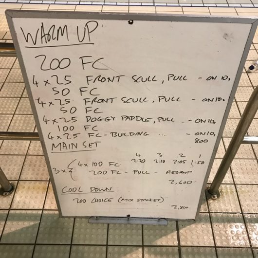 Wednesday, 1st February 2017 - Triathlon Swim Session