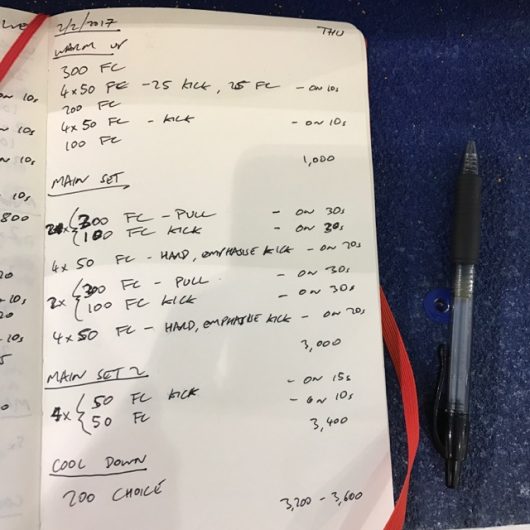 Thursday, 2nd February 2017 - Triathlon Swim Session