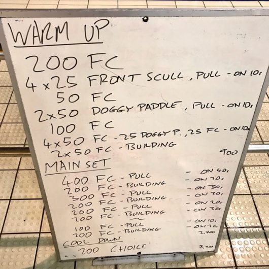 Wednesday, 15th February 2017 - Triathlon Swim Session
